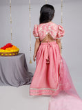 Dusty pink tissue lehenga