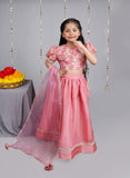 Dusty pink tissue lehenga