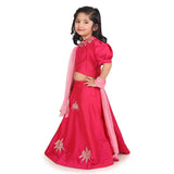 Chandbali Fushia Lehenga Set
