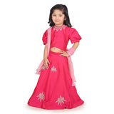 Chandbali Fushia Lehenga Set