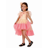 Ombre Birdie High Low Dress