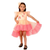 Ombre Birdie High Low Dress