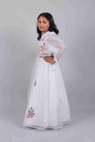Moon Garden Lehenga Set