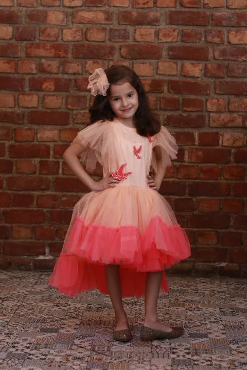 Ombre Birdie High Low Dress