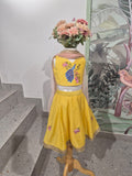 Radha Rani set